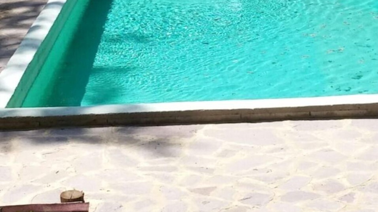 Photo of Outdoor in Monterotondo Marittimo