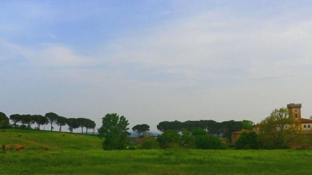 Photo of Outdoor in Monterotondo Marittimo