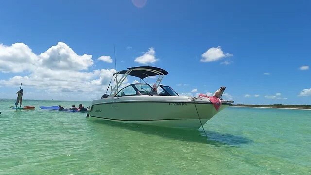 Photo of Others in Summerland Key