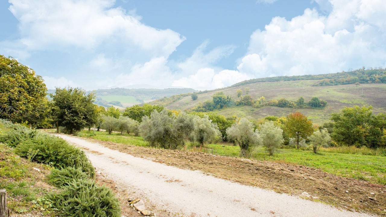 Photo of Others in Castiglione in Teverina