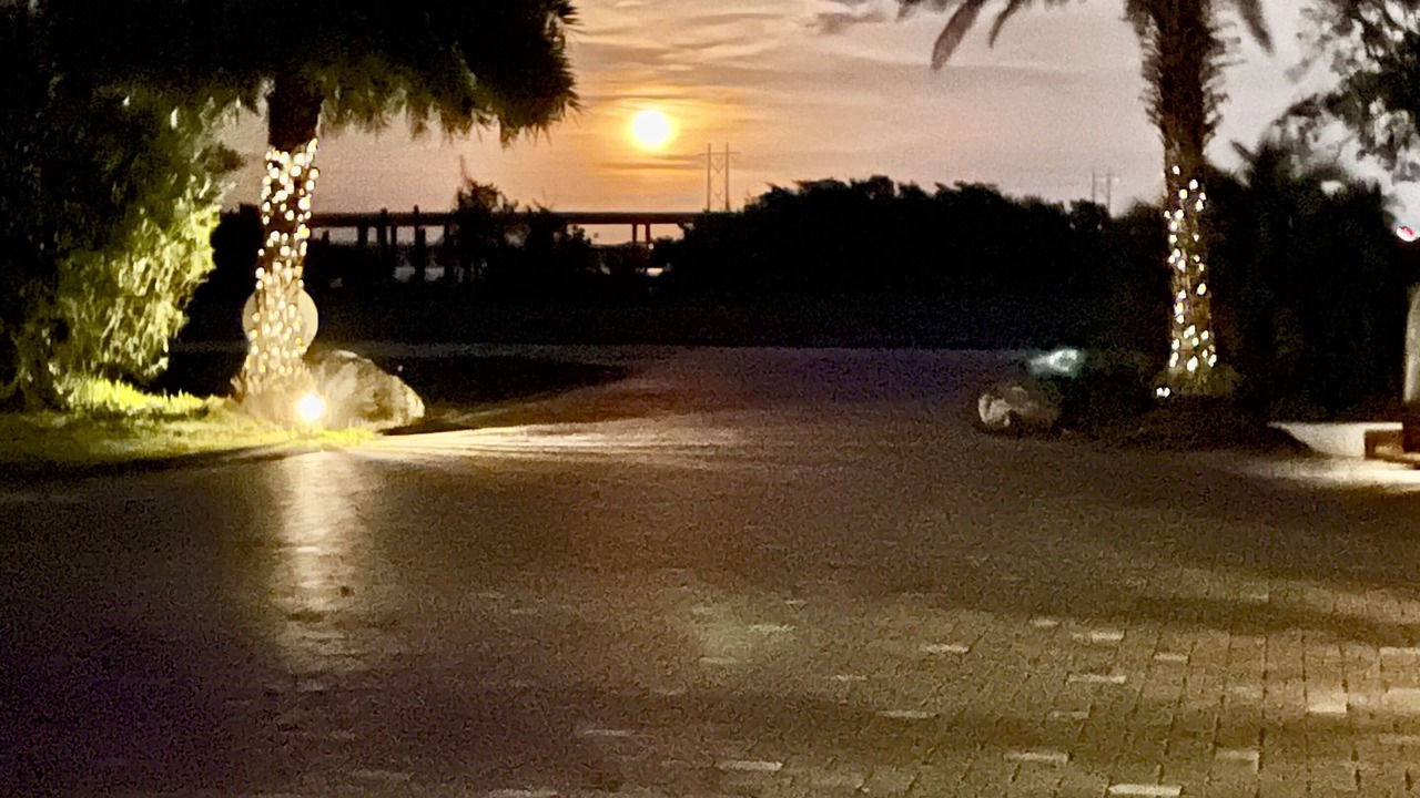 Photo of Others in Summerland Key