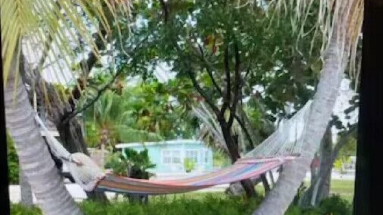 Photo of Others in Summerland Key