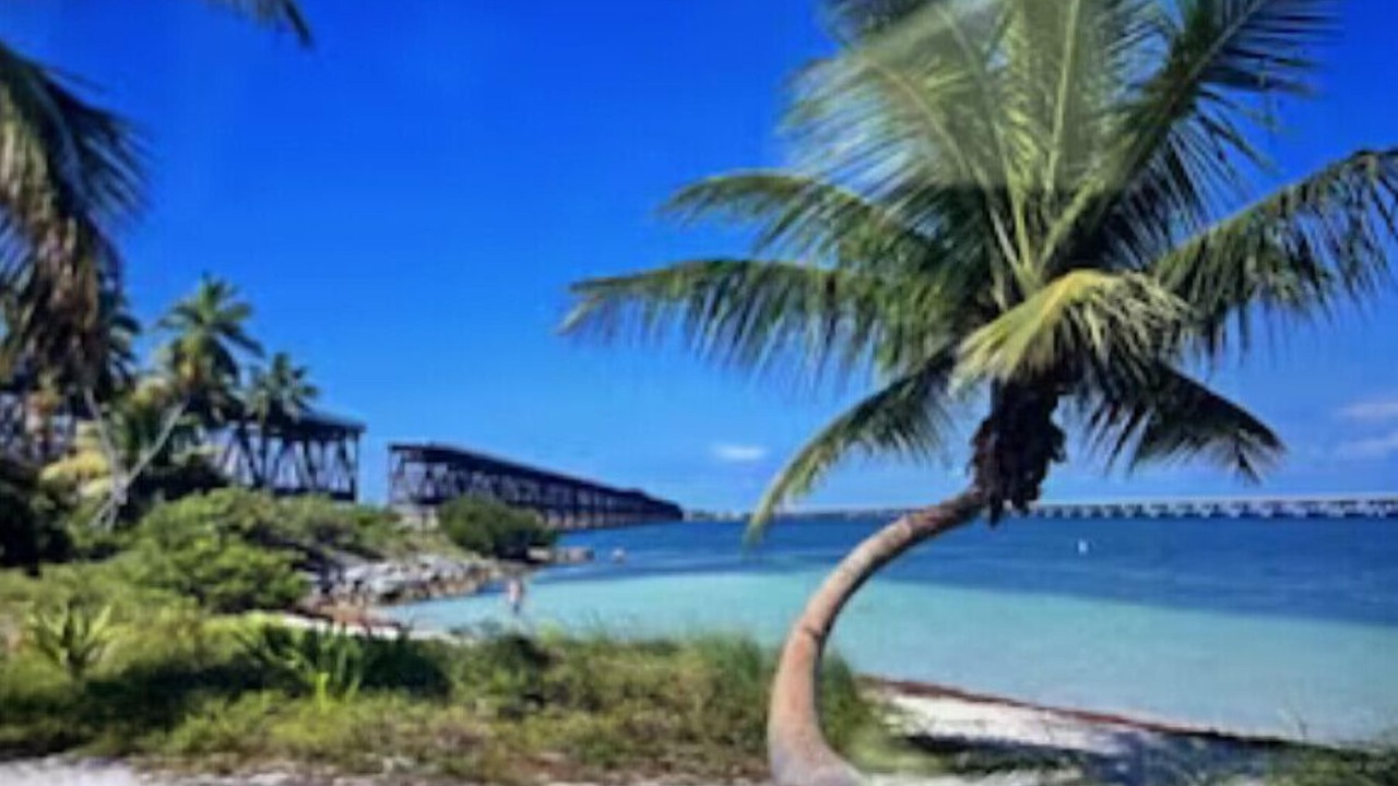 Photo of Others in Summerland Key