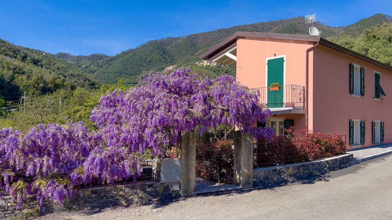 Photo of Outdoor in Levanto