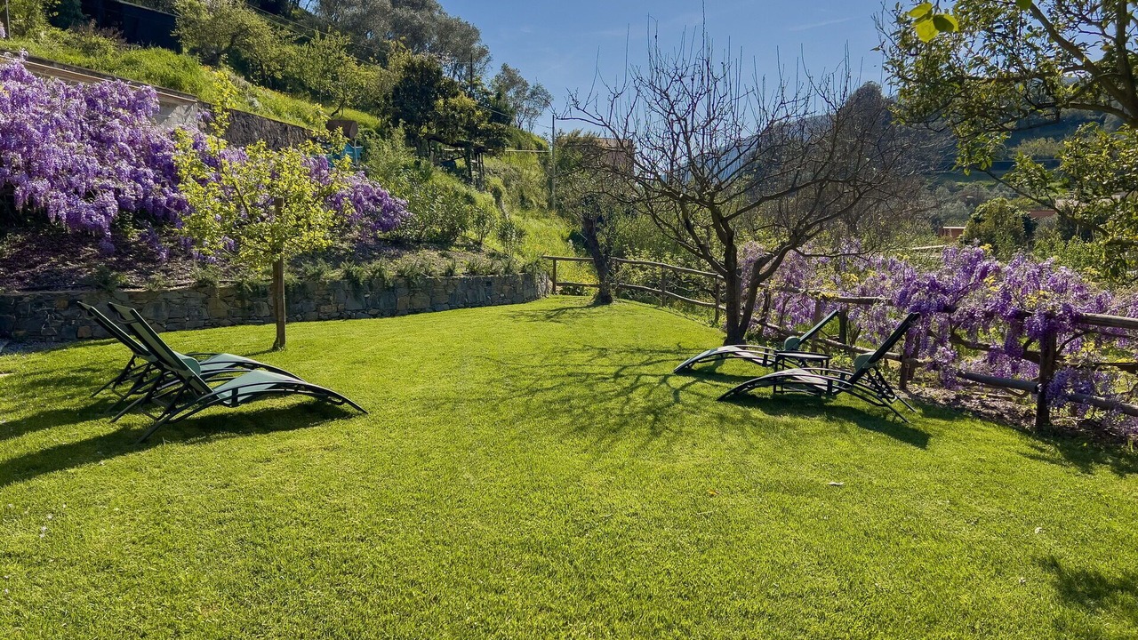 Photo of Outdoor in Levanto