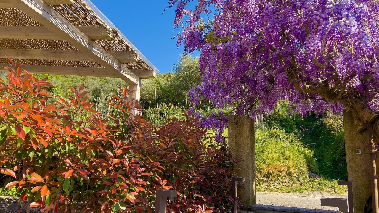 Photo of Outdoor in Levanto