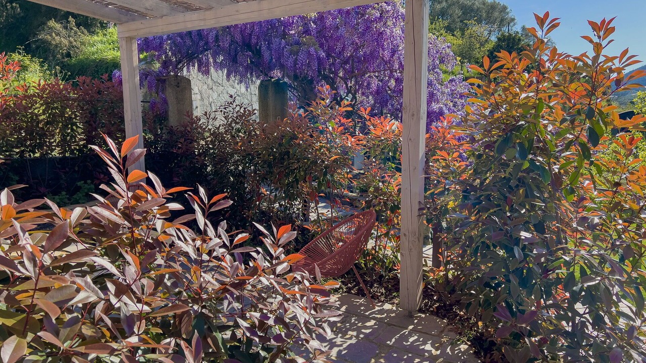 Photo of Outdoor in Levanto