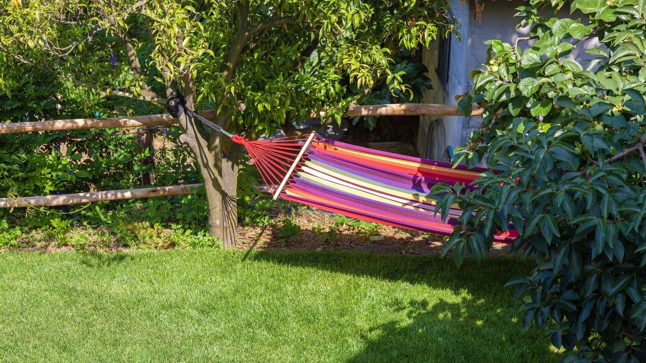 Photo of Outdoor in Levanto