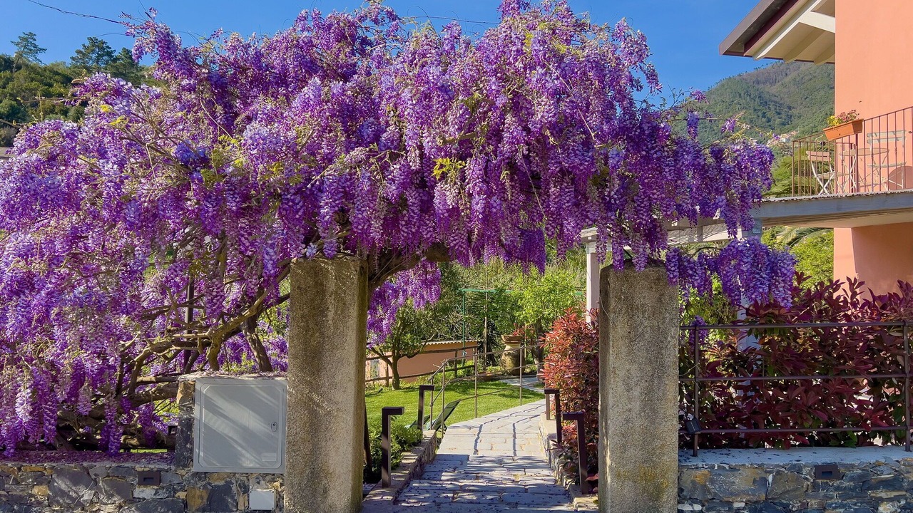 Photo of Outdoor in Levanto