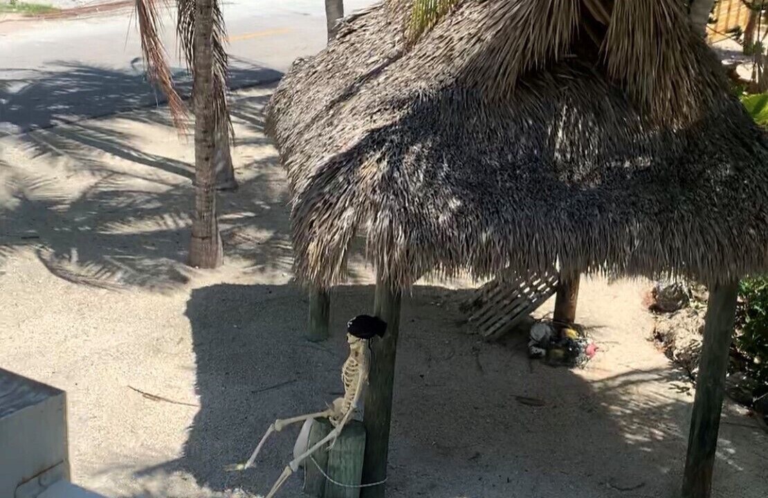 Photo of Outdoor in Little Torch Key