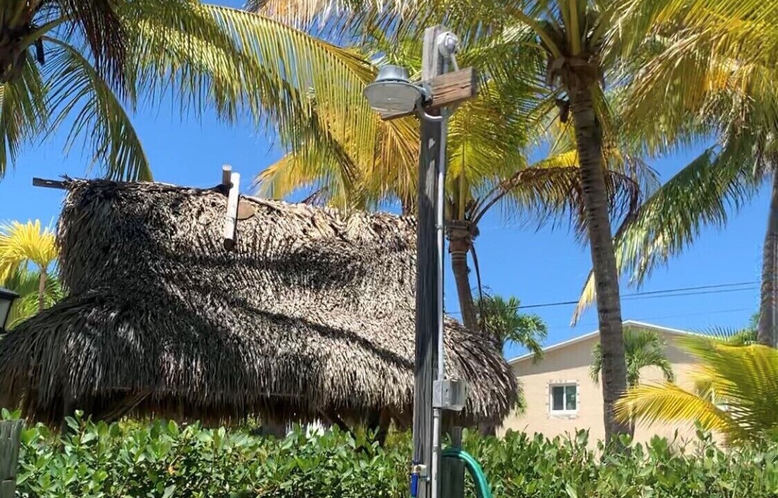Photo of Outdoor in Little Torch Key