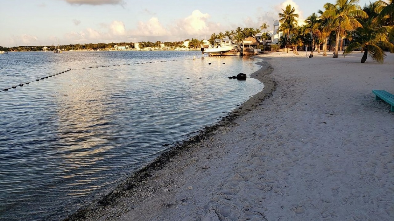 Photo of Others in Key Largo