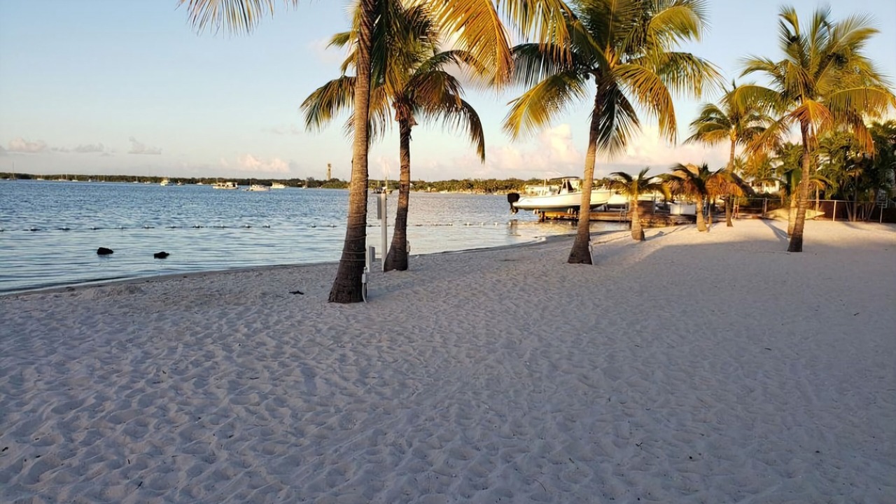 Photo of Others in Key Largo