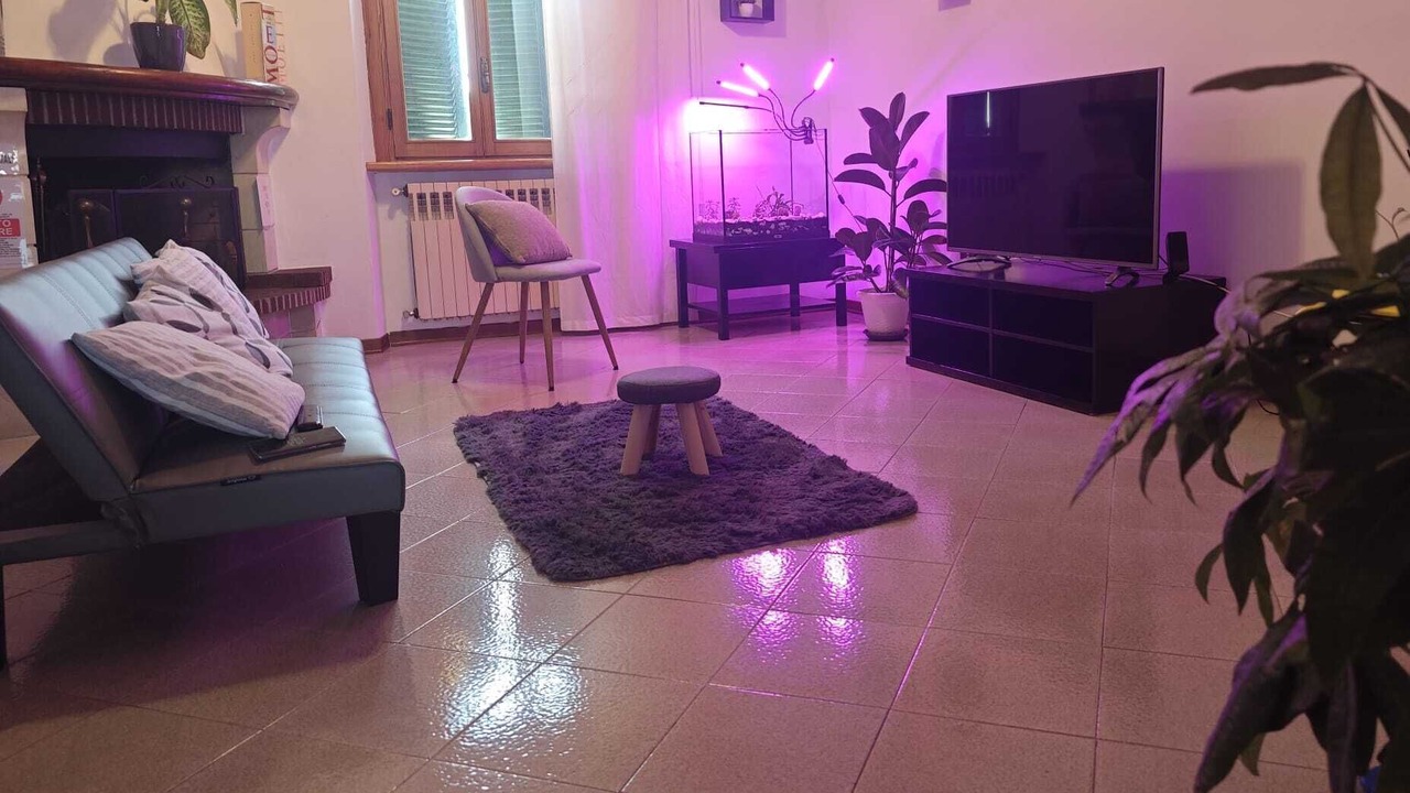 Photo of Livingroom in Arezzo