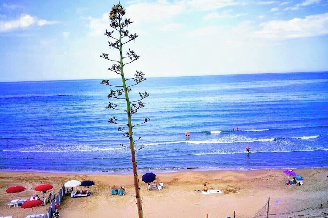 Photo of Others in Anzio