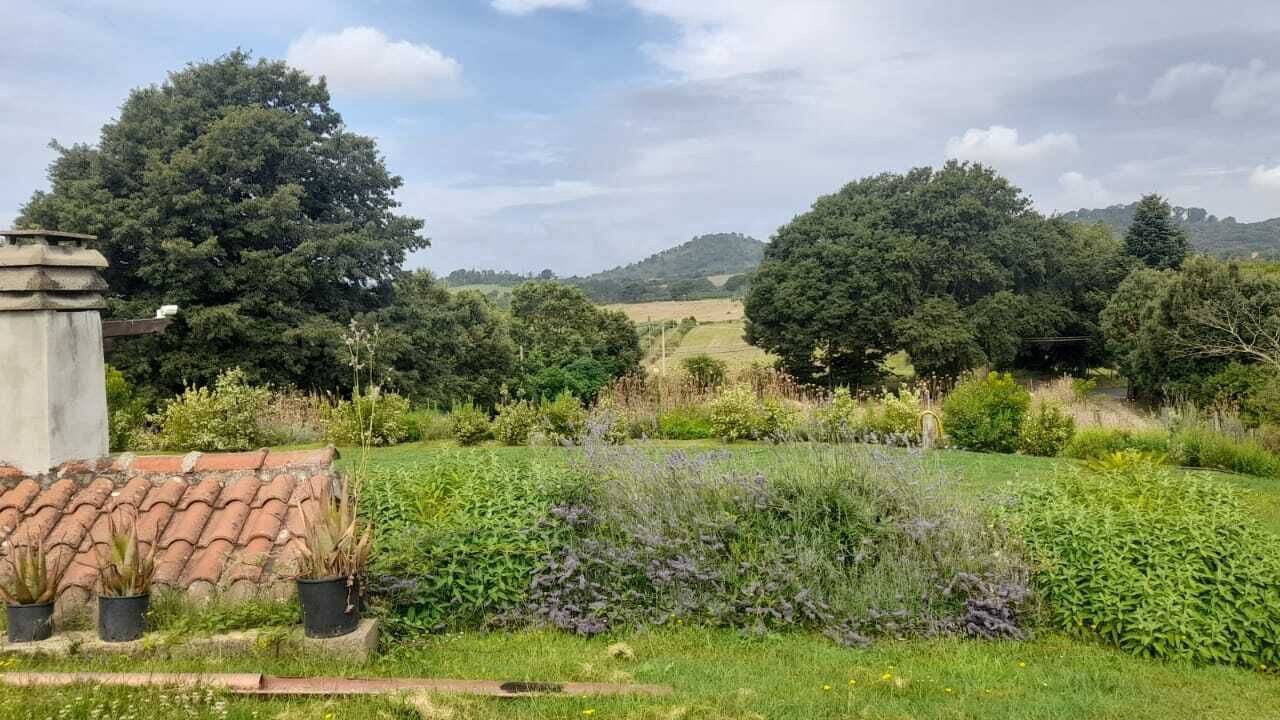 Photo of Outdoor in Lake Bracciano