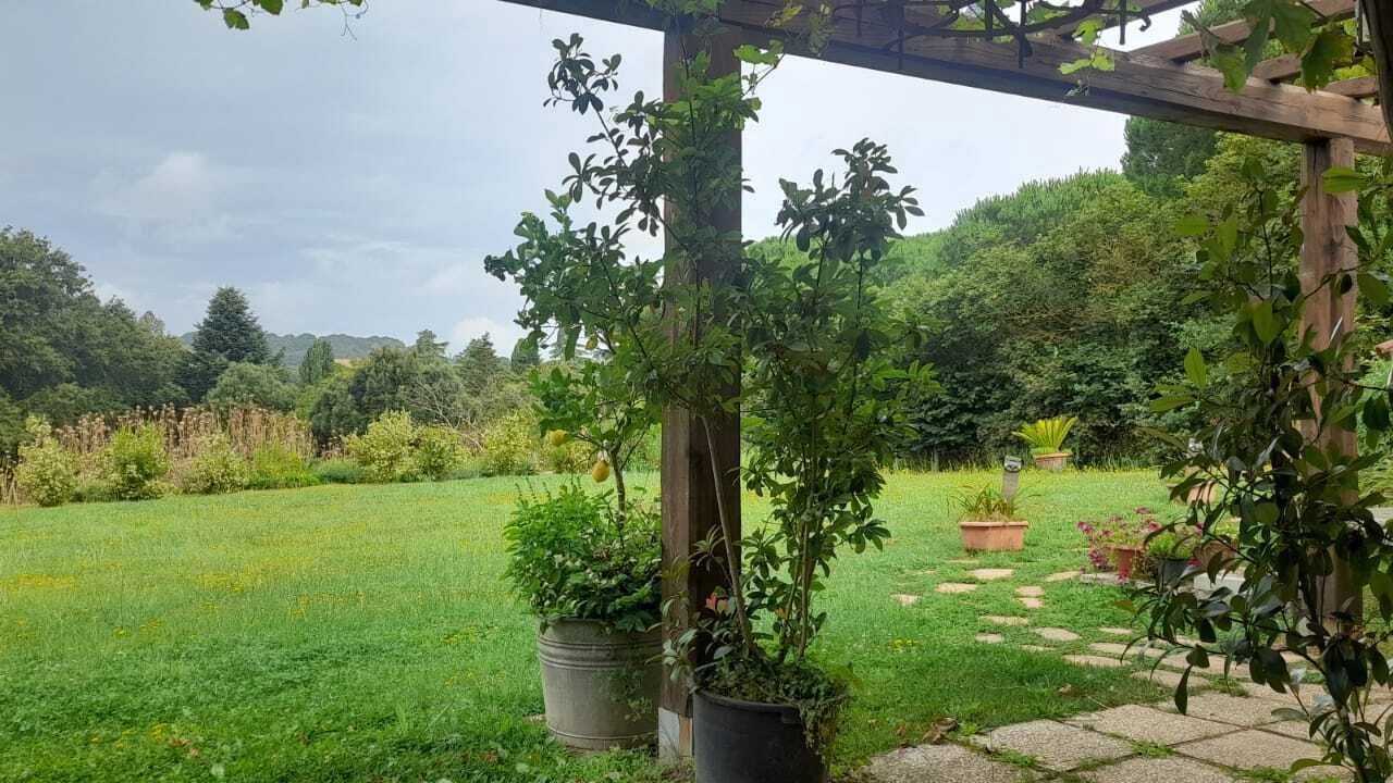 Photo of Outdoor in Lake Bracciano