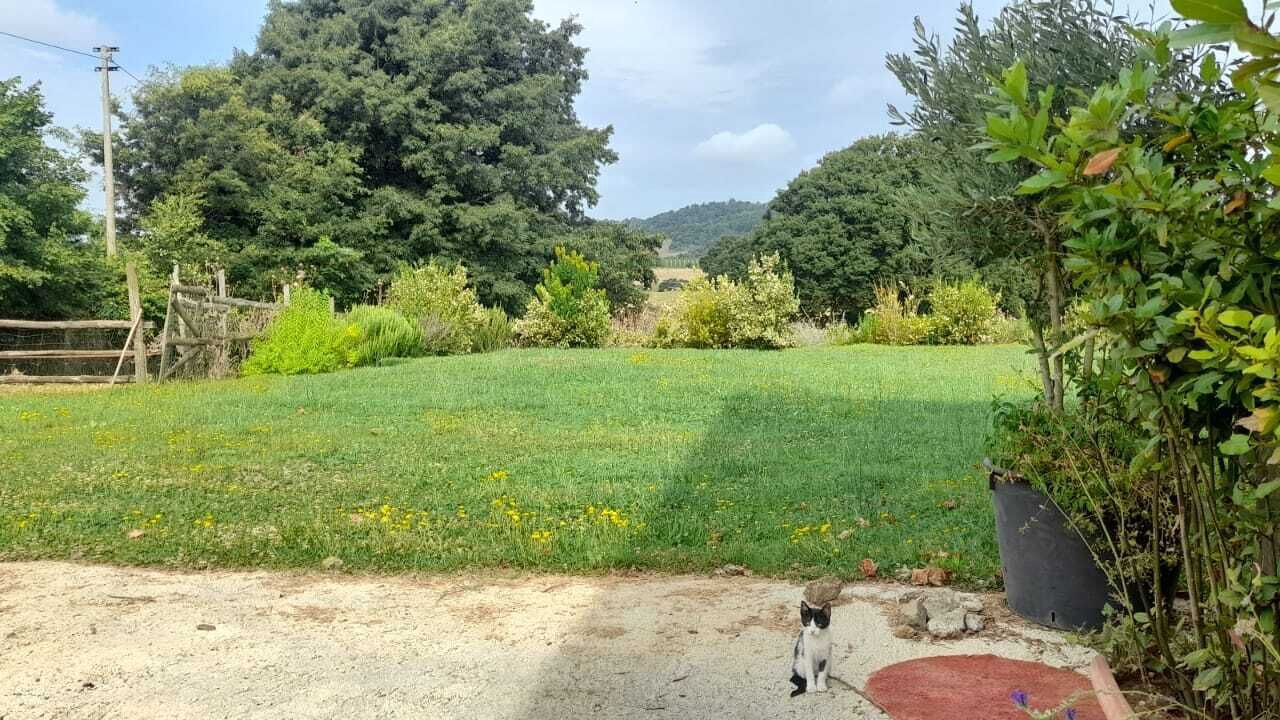 Photo of Outdoor in Lake Bracciano