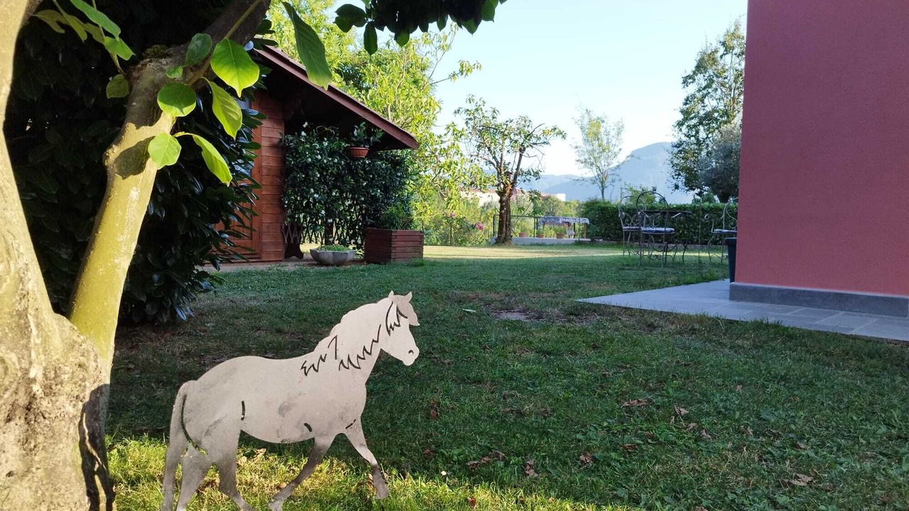 Photo of Outdoor in Mologno