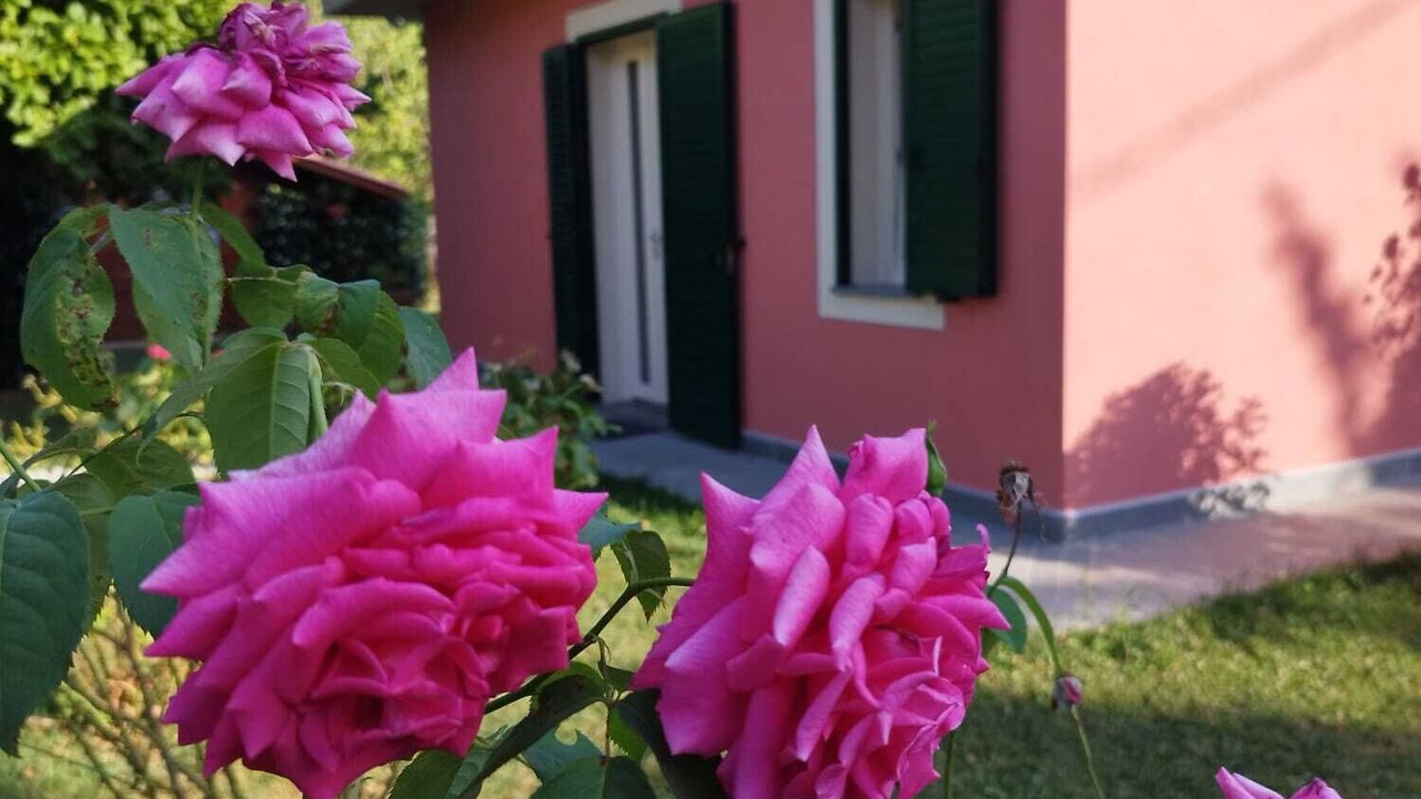 Photo of Outdoor in Mologno