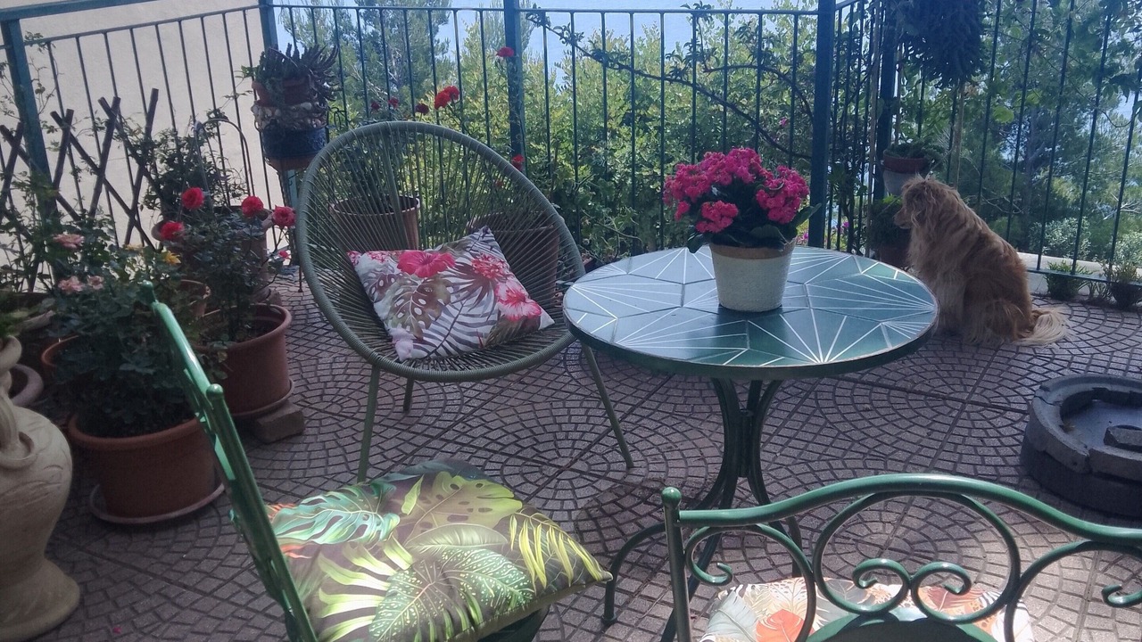 Photo of Outdoor in Alassio