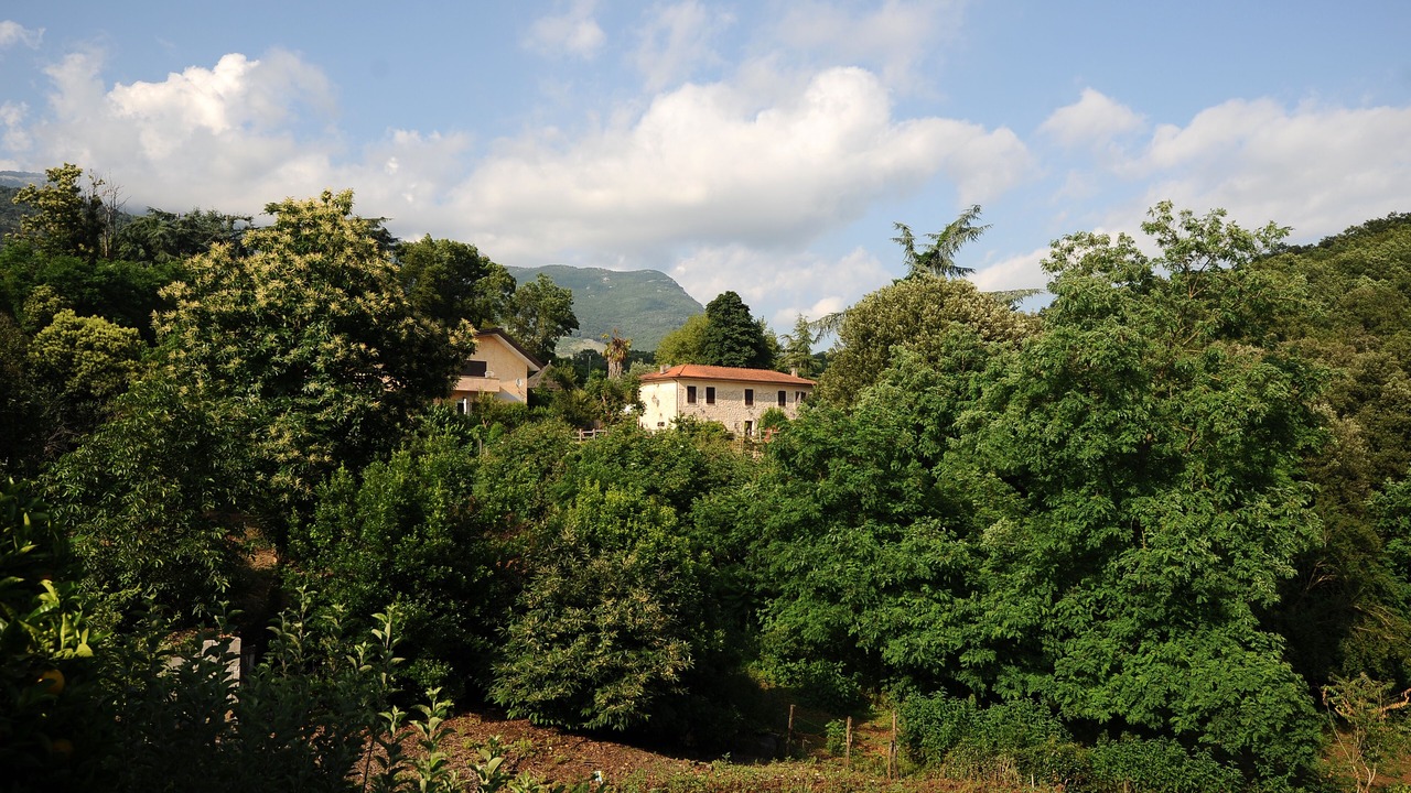 Photo of Outdoor in Sezze
