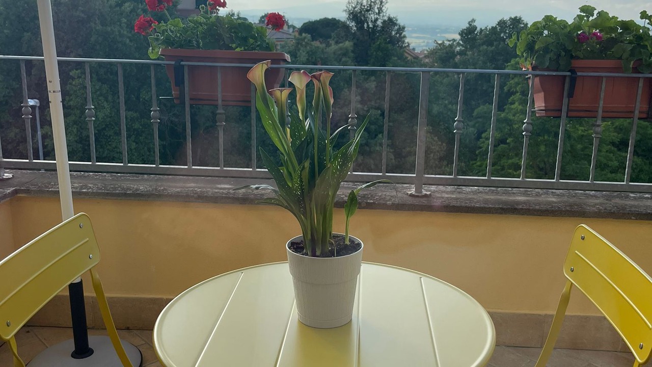 Photo of Outdoor in Campagnano di Roma