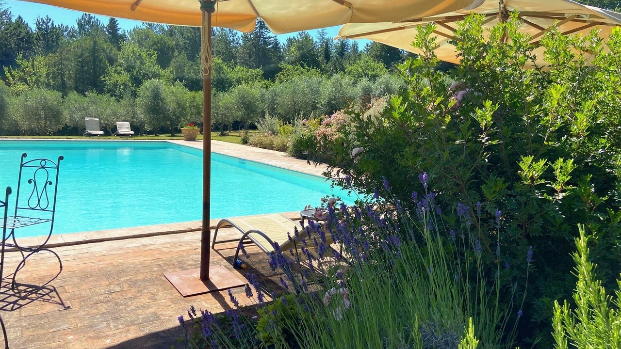 Photo of Outdoor in Cetona