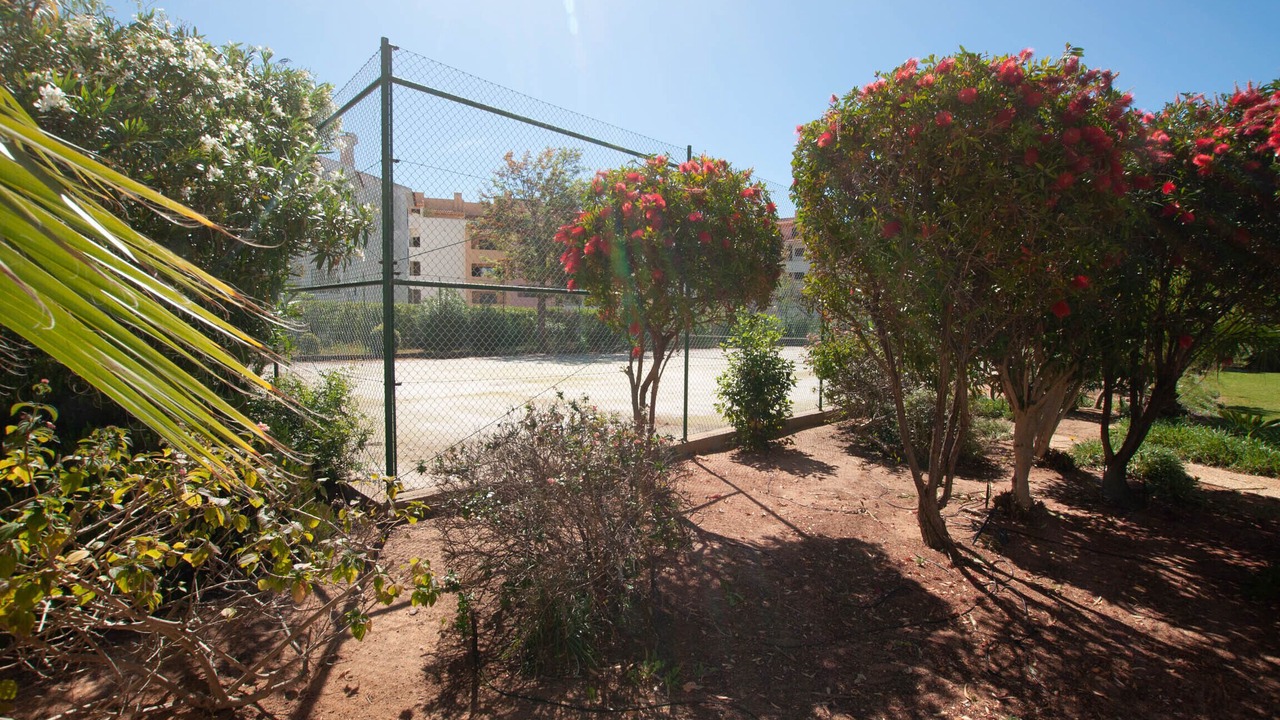 Photo of Outdoor in Correeira