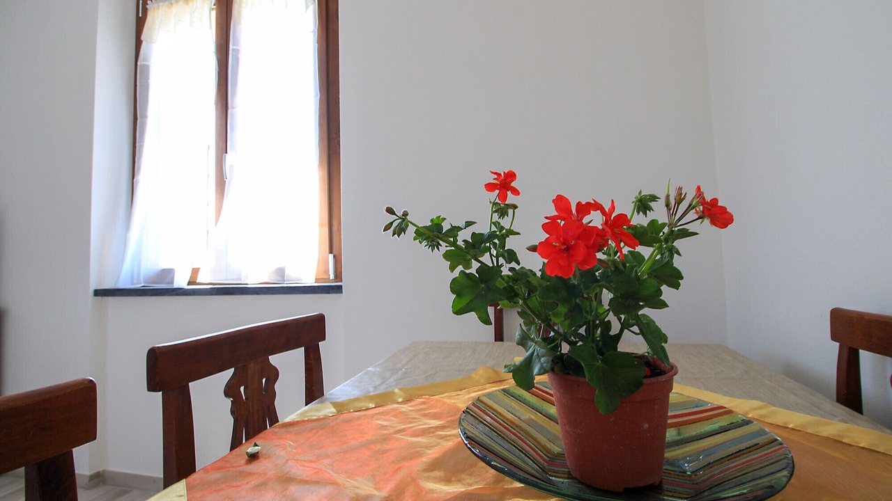 Photo of Others in Grosseto