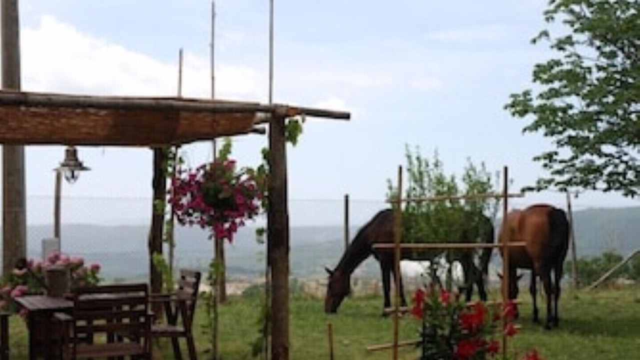 Photo of Outdoor in Monterotondo Marittimo