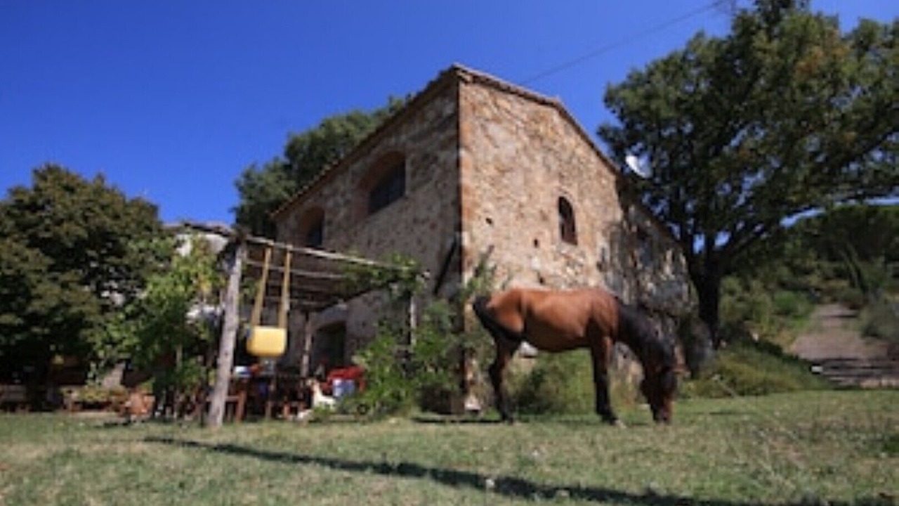 Photo of Outdoor in Monterotondo Marittimo
