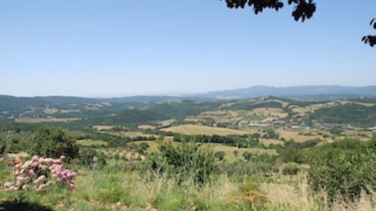 Photo of Outdoor in Monterotondo Marittimo