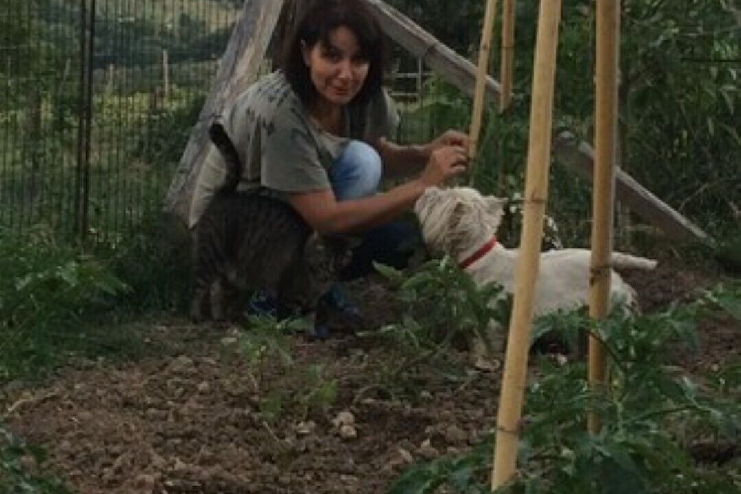 Photo of Outdoor in Monterotondo Marittimo