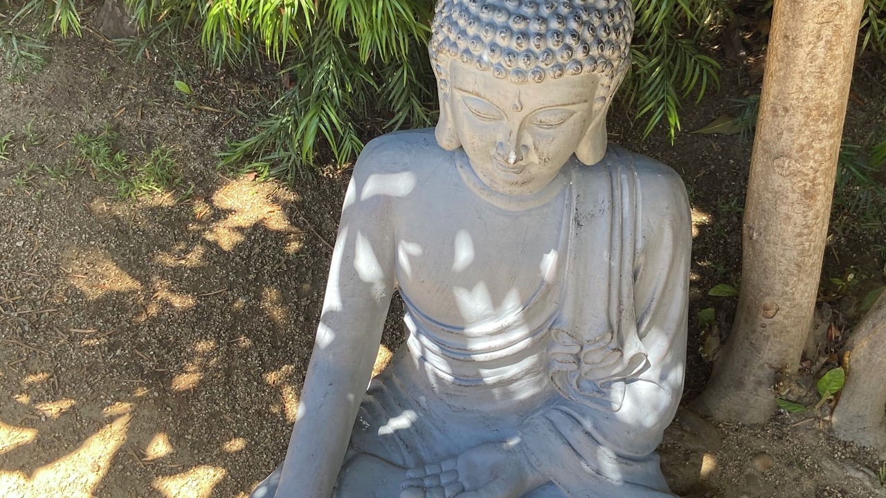 Photo of Outdoor in Hollywood Hills West