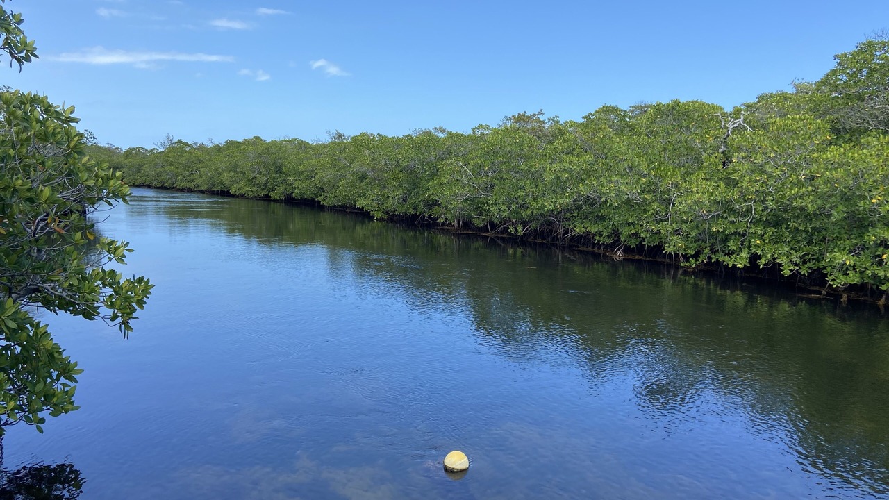 Photo of Others in Key Largo