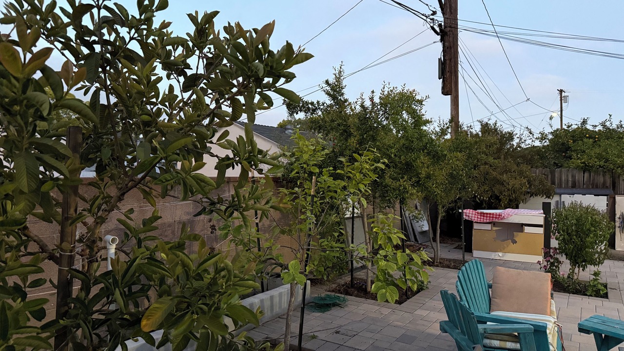 Photo of Patio Balcony in Gardena
