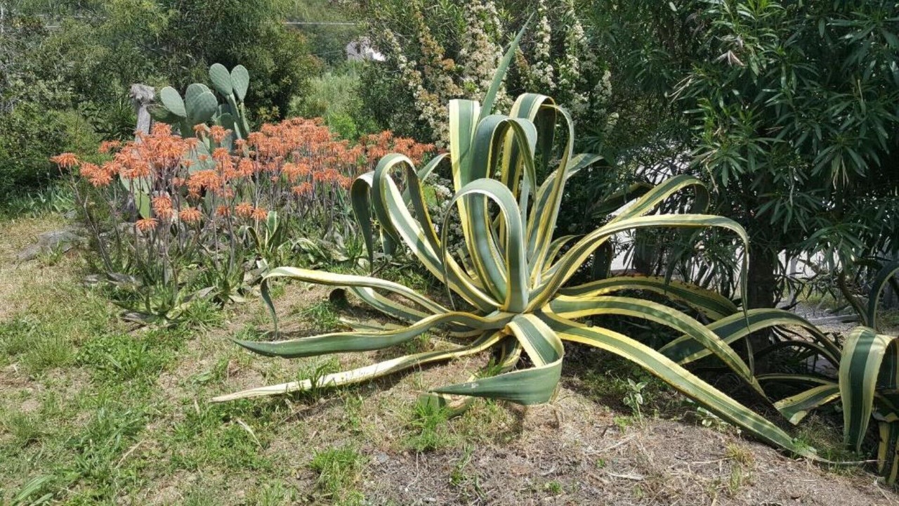 Photo of Outdoor in Bonalaccia-Filetto