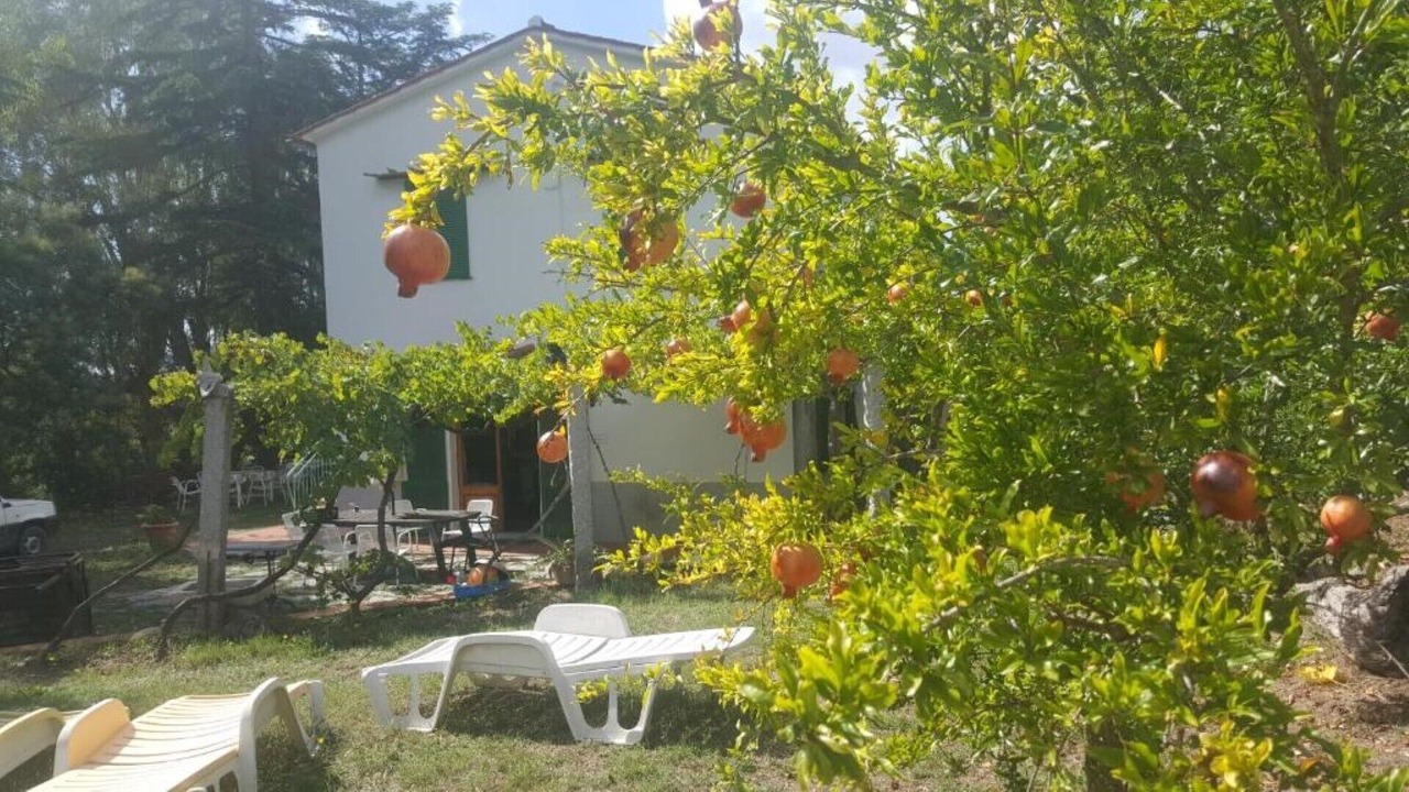 Photo of Outdoor in Bonalaccia-Filetto
