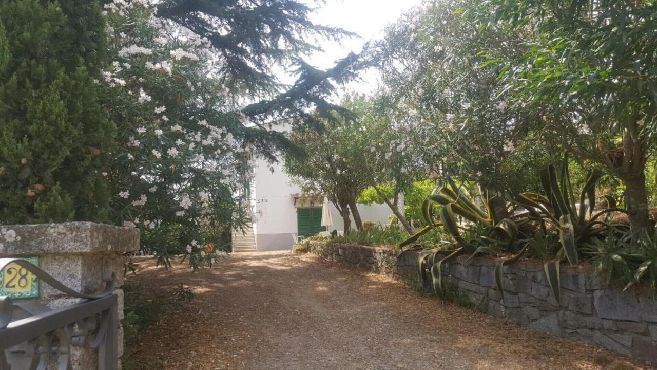 Photo of Outdoor in Bonalaccia-Filetto