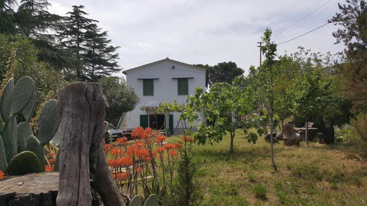 Photo of Outdoor in Bonalaccia-Filetto