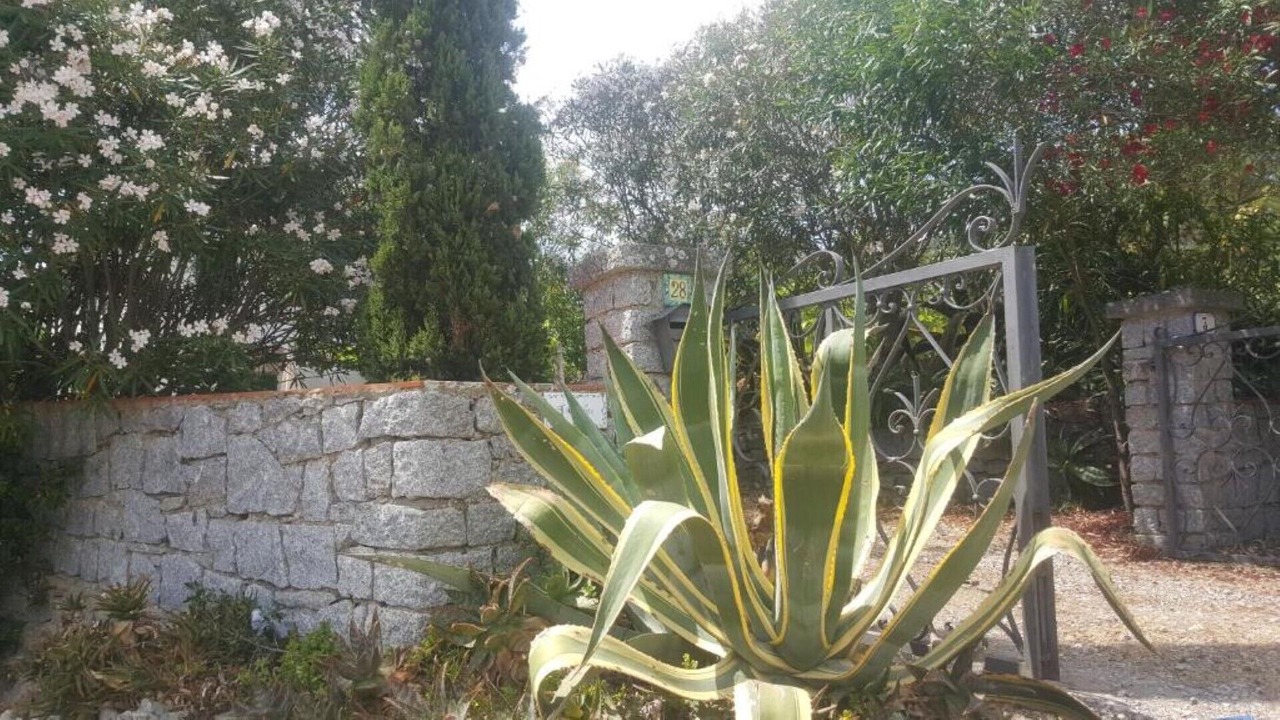 Photo of Outdoor in Bonalaccia-Filetto