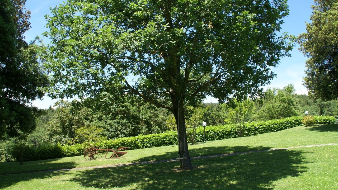 Photo of Outdoor in Fraccano
