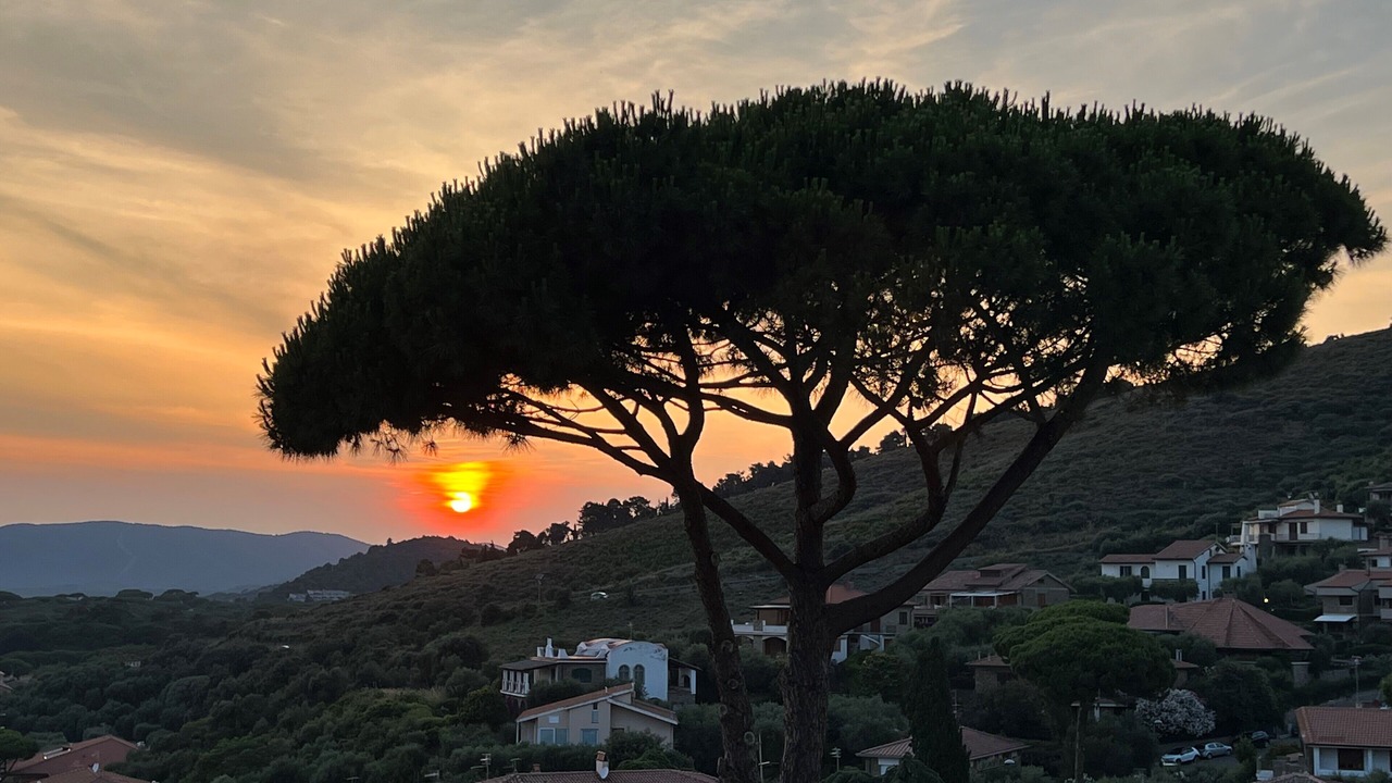 Photo of Others in Castiglione della Pescaia