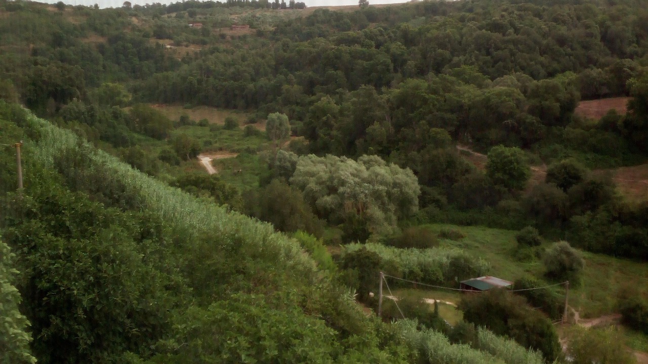 Photo of Others in Campagnano di Roma