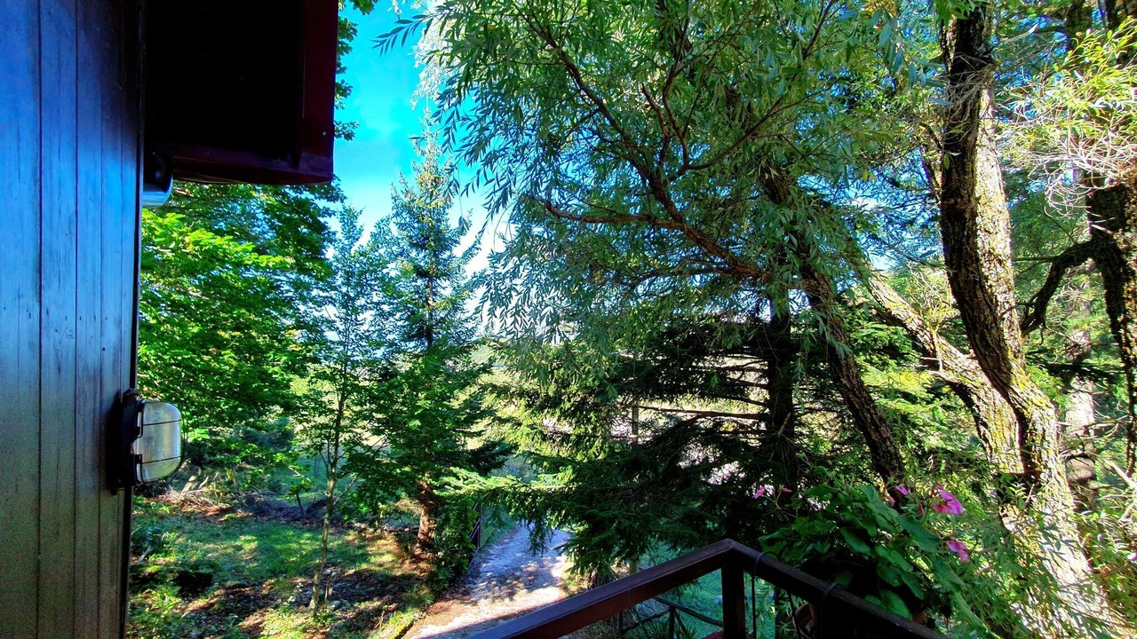 Photo of Patio Balcony in Polino