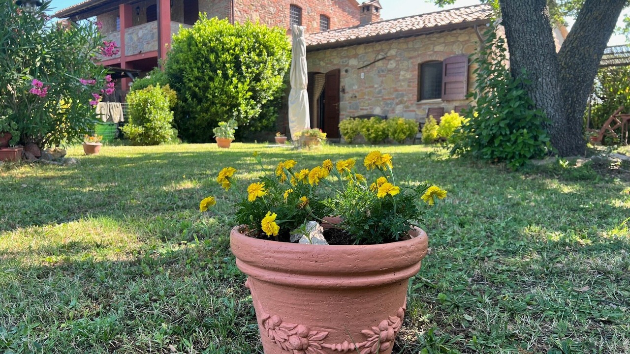 Photo of Outdoor in Castiglione del Lago