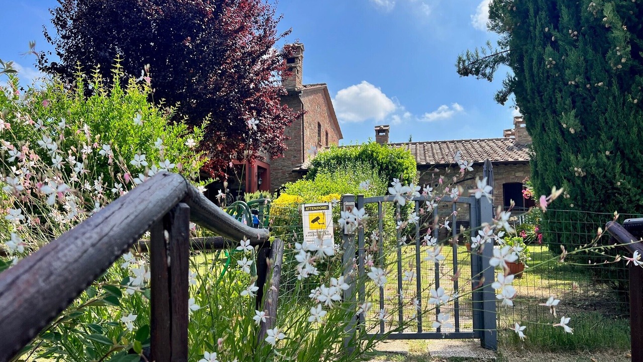 Photo of Outdoor in Castiglione del Lago
