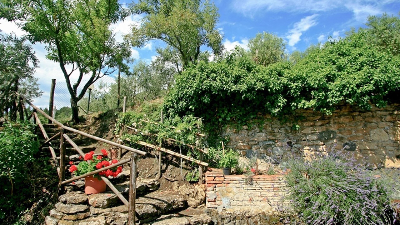 Photo of Outdoor in San Dalmazio