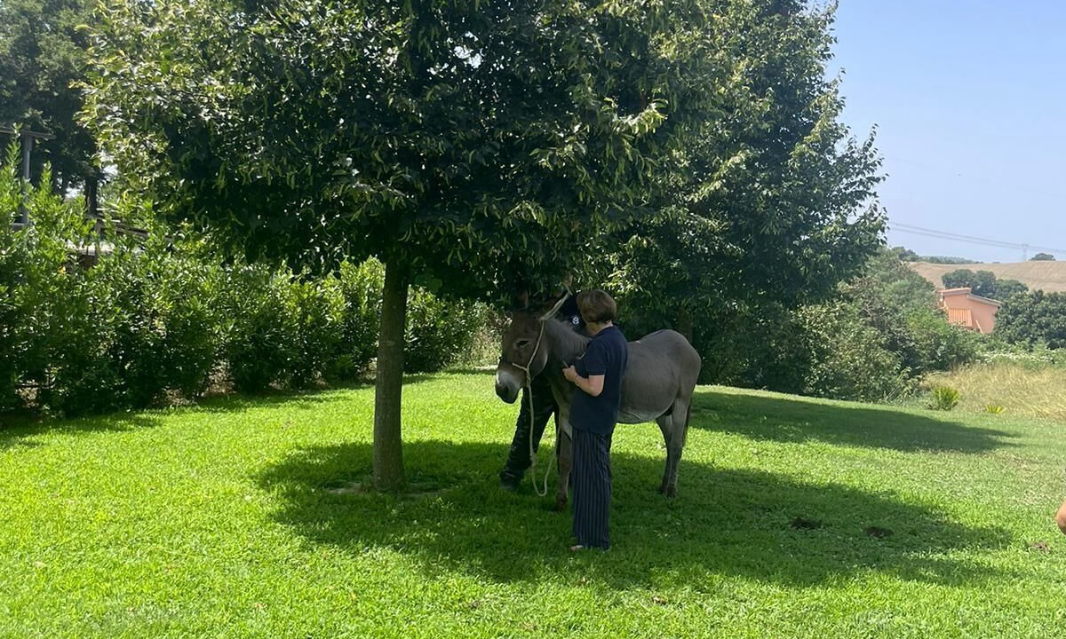 Photo of Outdoor in Rignano Flaminio